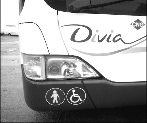 Photo d'un bus dijonais, portant le logo indiquant l'accessibilité aux usagers handicapés.